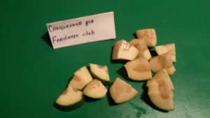 Frullato di anguria Feijoa