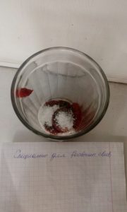 Borsch su brodo di pollo