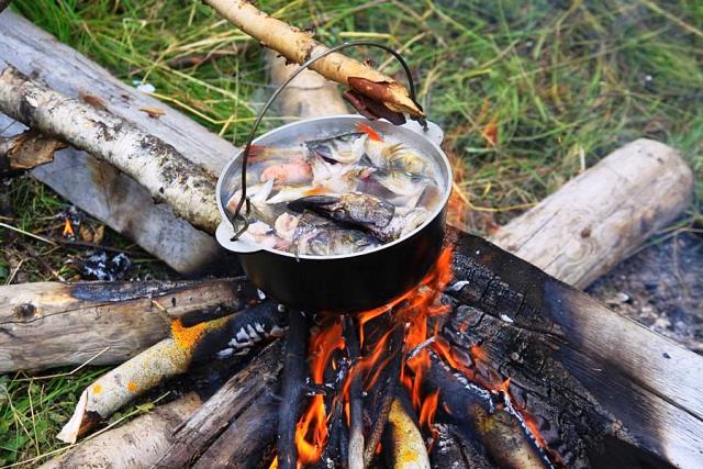 Orecchio reale in natura