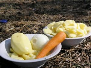 Orecchio reale in natura