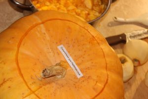 Marmellata di zucca e mela