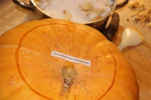 Marmellata di zucca e mela