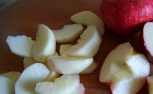 Oca con prugne secche