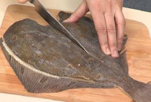 Flounder imperiale