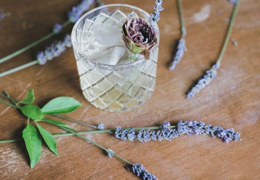 Cocktail fotografico