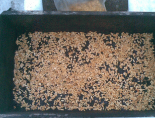 Pesce persico affumicato