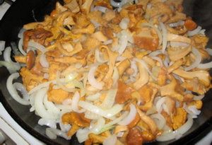 Coniglio con finferli