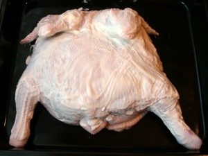 Pollo Segreto