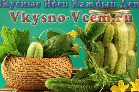 Cetrioli in scatola con succo di bacche