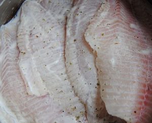 Persico sotto una sciabola di formaggio