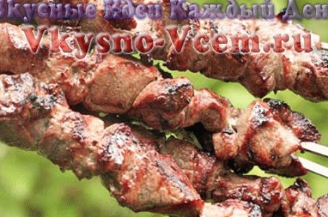 Ricetta kebab originale