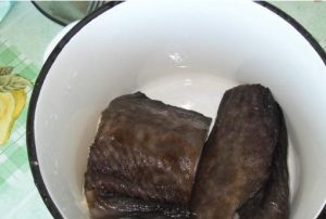 Sottaceto di pesce gatto