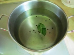 Pomodori Salati In Una Borsa