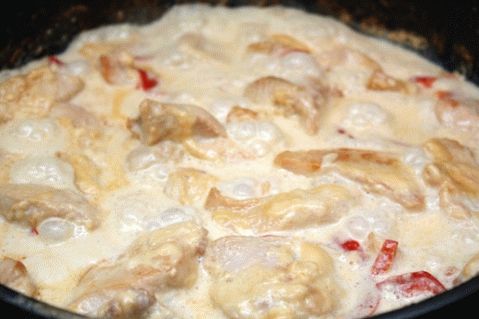 Sughi di pollo: cucinare da soli