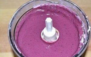 Gelato ai frutti di bosco PP