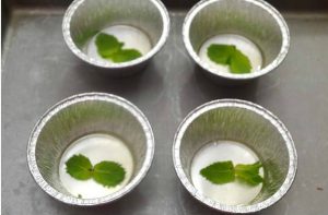 Gelatina di bacche