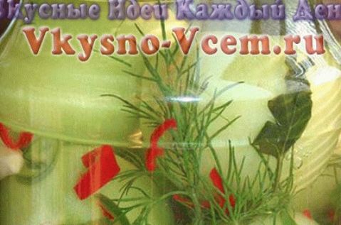 Ricette per conserve di pomodori verdi